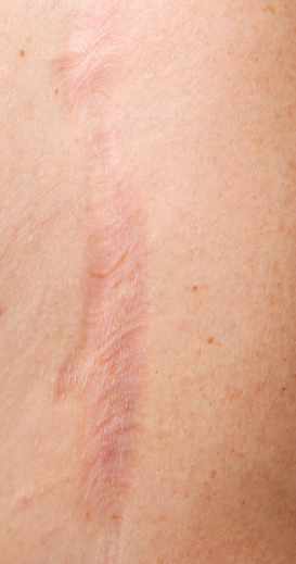 2345_image_file_copy_1.jpg