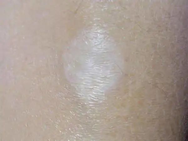 2345_image_file_copy_9.jpg