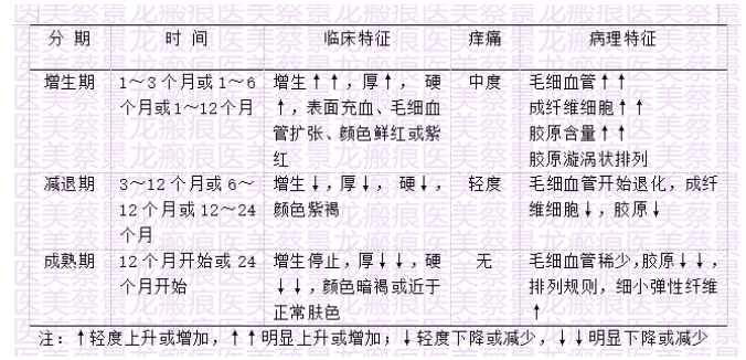 9a0e3b48f467463d9a88168f9d80fcd.png