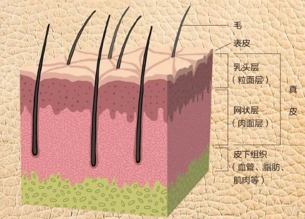 【蔡教授瘢痕治疗科普】儿童患者可以用激光治疤吗？激光治疤会疼吗？