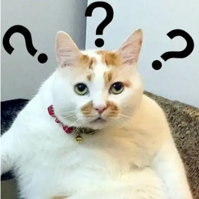 768d7a2351223586832bb0e7f6eab1c.png